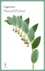 Imagen del producto 9788409582600