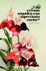 Imagen del producto 9788412361018