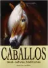 Imagen del producto 9788415372196