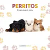 Imagen del producto 9788448044893