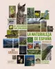 Imagen del producto 9788491588733