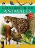 Imagen del producto 9788499390031