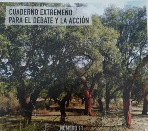 Imagen del producto 000077-2023