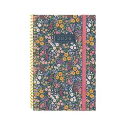 Imagen del producto 8422952410447