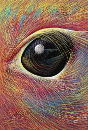 Imagen del producto 9788418702563