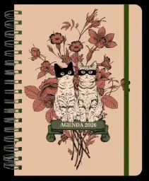 Imagen del producto 9788419215673