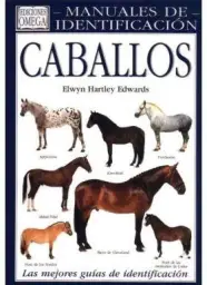 Imagen del producto 9788428209717