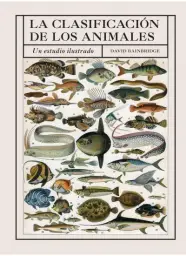Imagen del producto 9788428217521