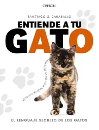 Imagen del producto 9788441539778