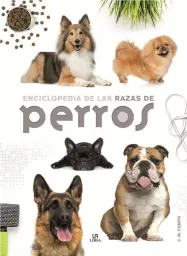 Imagen del producto 9788466227889