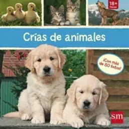 Imagen del producto 9788467574357
