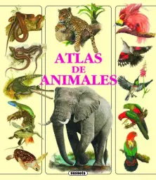 Imagen del producto 9788467704310