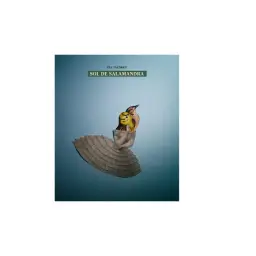 Imagen del producto 9788494960635