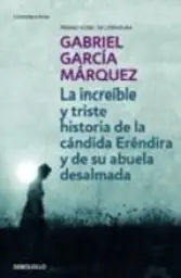 Imagen del producto 9788497592369