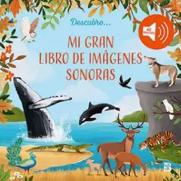 Imagen del producto 9789403242446