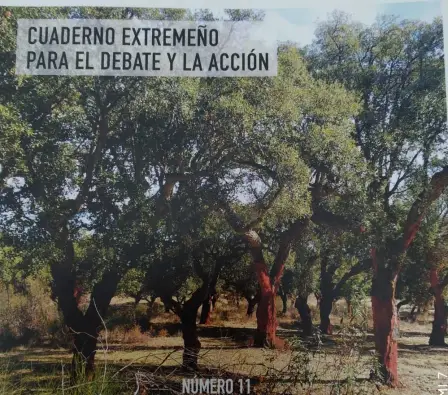 Imagen del producto 000077-2023