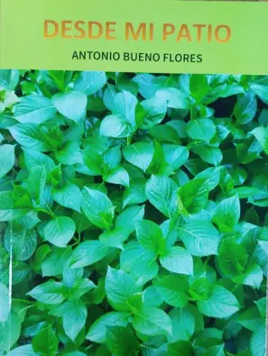 Imagen del producto 1002110083071