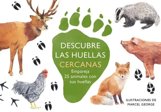 Imagen del producto 8425402888728