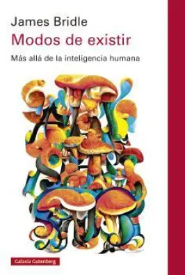 Imagen del producto 9788410107663