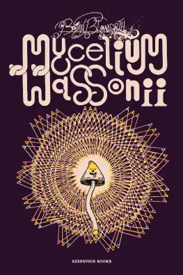 Imagen del producto 9788410352278