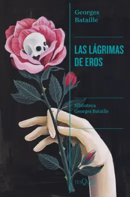 Imagen del producto 9788411073059
