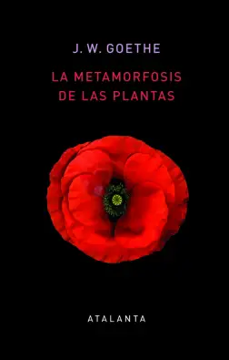 Imagen del producto 9788412074345