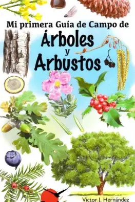 Imagen del producto 9788416702442