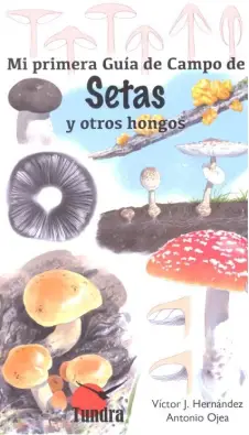 Imagen del producto 9788416702473