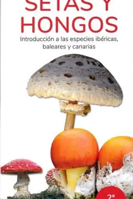 Imagen del producto 9788418458118