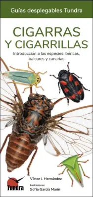 Imagen del producto 9788418458637