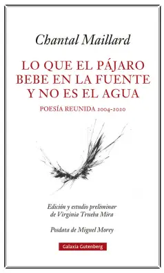 Imagen del producto 9788418807633