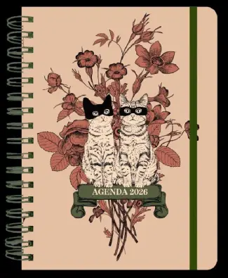 Imagen del producto 9788419215673