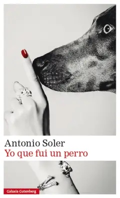 Imagen del producto 9788419738011