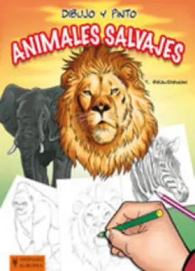 Imagen del producto 9788425519277