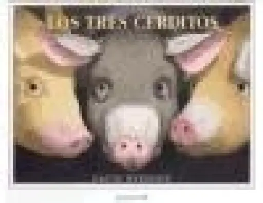 Imagen del producto 9788426132918