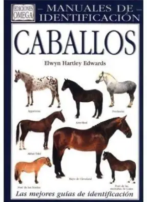 Imagen del producto 9788428209717