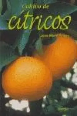 Imagen del producto 9788428214292