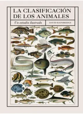 Imagen del producto 9788428217521