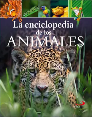 Imagen del producto 9788428557511