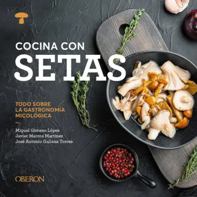 Imagen del producto 9788441551541