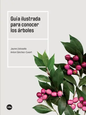 Imagen del producto 9788447540754