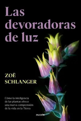 Imagen del producto 9788449343742