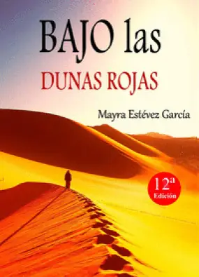 Imagen del producto 9788461740338