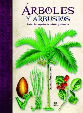 Imagen del producto 9788466224536
