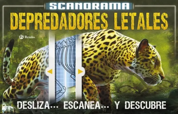 Imagen del producto 9788469606544