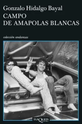 Imagen del producto 9788483830697