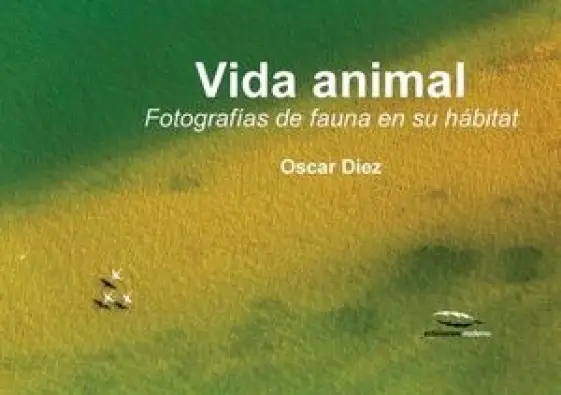 Imagen del producto 9788494268960