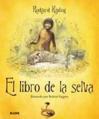 Imagen del producto 9788498011883
