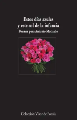 Imagen del producto 9788498953008