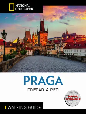 Imagen del producto 9788854062177